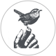 thebirdhand